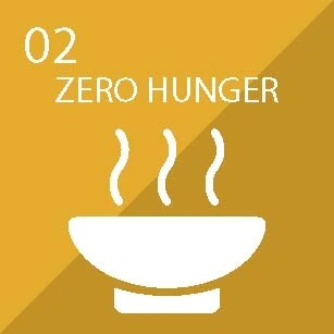 Zero Hunger