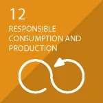 responsible consumption and production