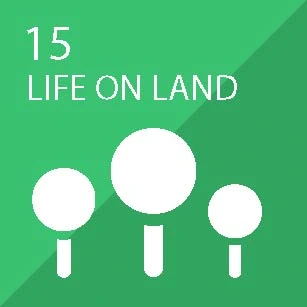 life on land