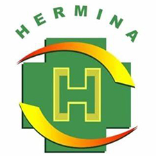 Hermina Hospital